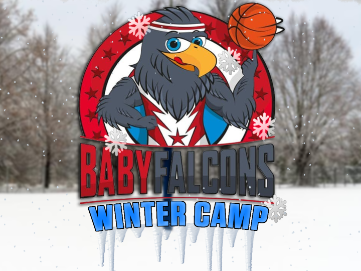 Arriva il BabyFalcons Winter Camp