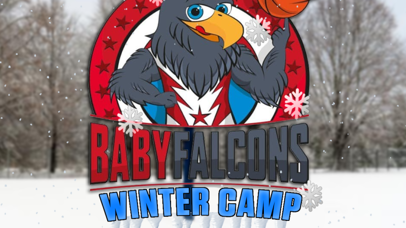 Arriva il BabyFalcons Winter Camp