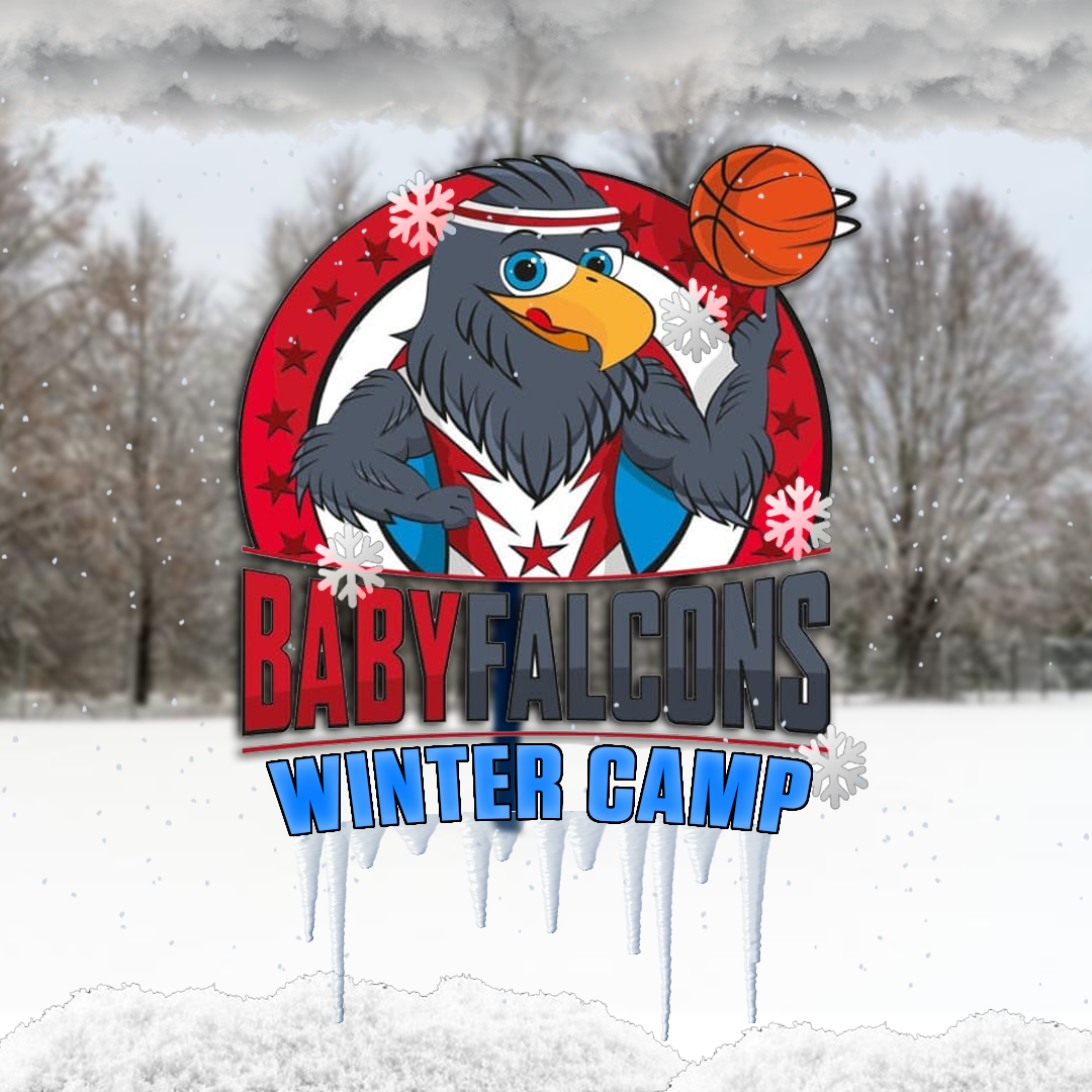 BABYFALCONS WINTER CAMP
