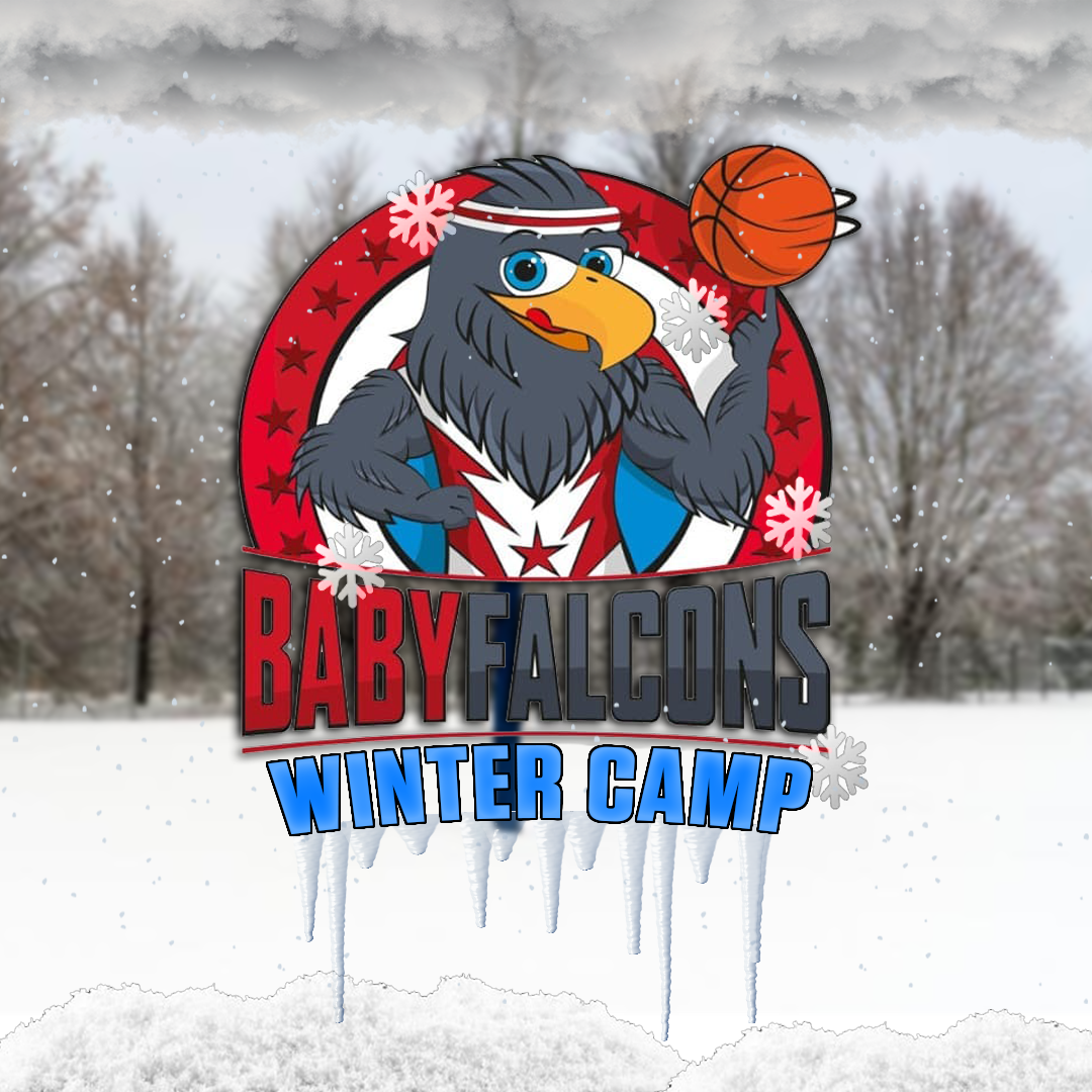 Arriva il BabyFalcons Winter Camp